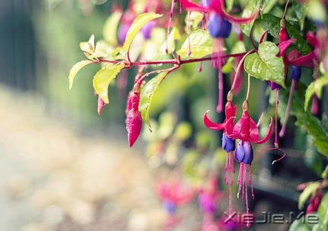 ������һ��һ���˵��ọ́����˿����