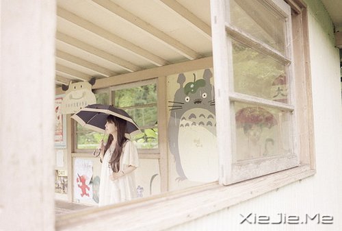 ����������������� (7)