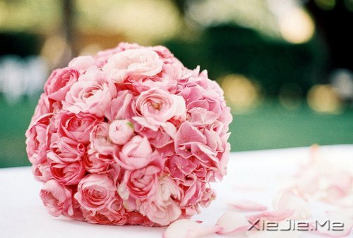 ���㶮�ã�������ϧ (1)