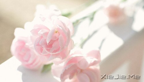 �����ӹ���ʫ���򵥶����� (6)