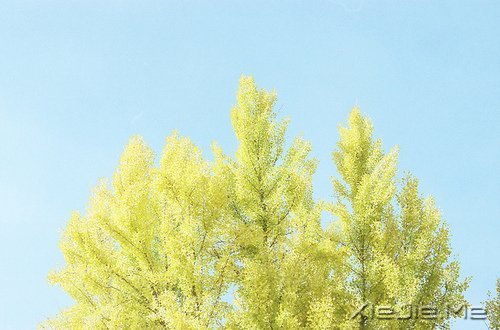 �ú������һ���ӽ��Ҹ����� (3)