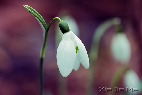 ÿ���˶����Լ�����������ů��֪ (4)