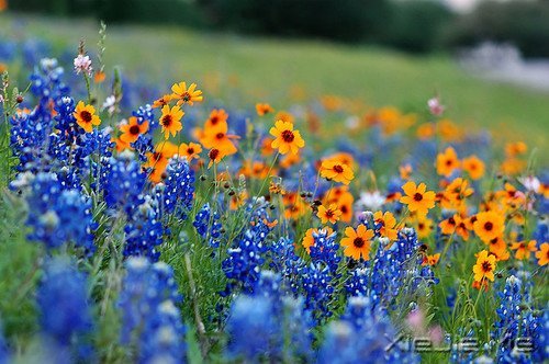 �Ҳ��³��󣬶�����������ȥ (3)