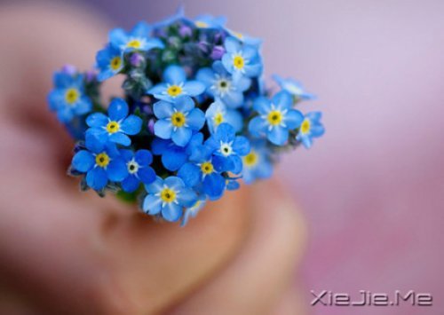 �е����㿴��һ�ۣ�ȴ������һ�� (5)