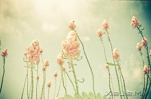 ֻ��֪��ж�������Ц������ (3)