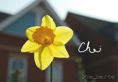 ��׷��ʲô����ȥŬ���� (2)