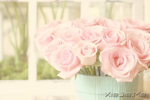 ʱ��������ֻ������һȥ���� (6)