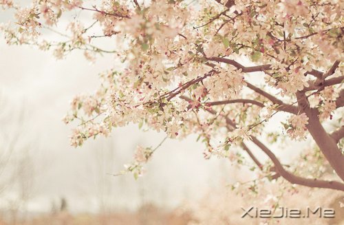 ���ƽ�ͣ�����������װ���������Ҹ� (8)