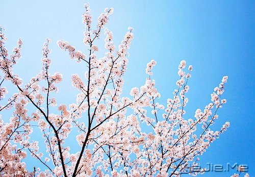 ֻҪ���Ĳ��ң����ͺ��Ѹı���ʲô (4)