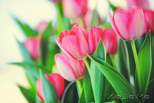 �Ҳ��������������������Լ� (2)