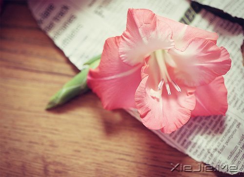 �簲���ǳǳ���������� (6)