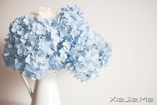 ���ۺû������춼�ᵽ�� (5)