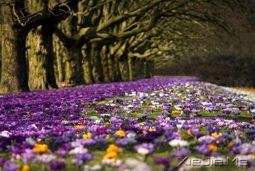 �����������������������Į (2)