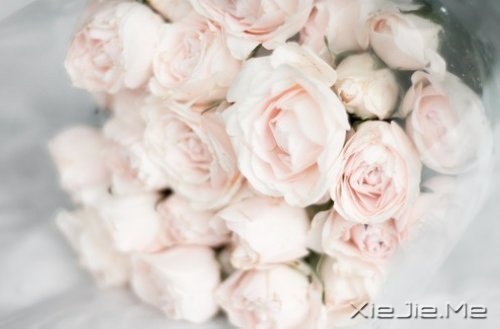 ��Ҫ��Ц���˵Ị̇���ֻ����û�о��������� (2)