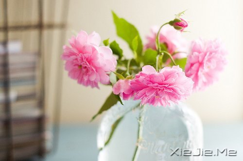 �Ҹ������Ǵ����ﶬ����Ȼ���� (5)