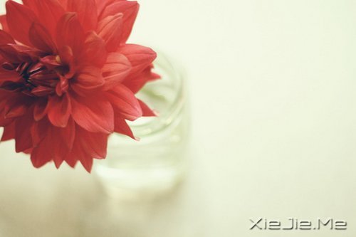 �Ҹ������Ǵ����ﶬ����Ȼ���� (6)