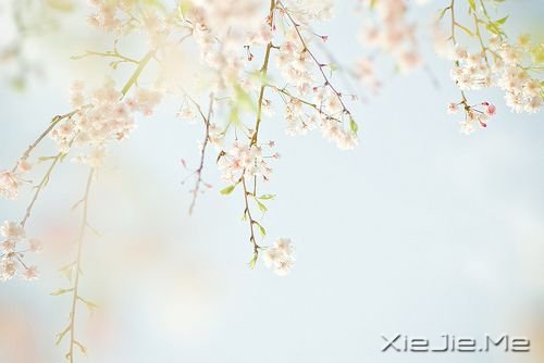 ��ֻ�ж���������֮�أ����ܿ���ʱ��֮�� (5)