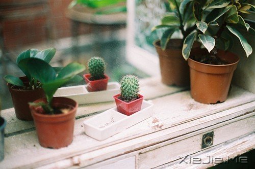 �����������һ������������Ī�������� (10)