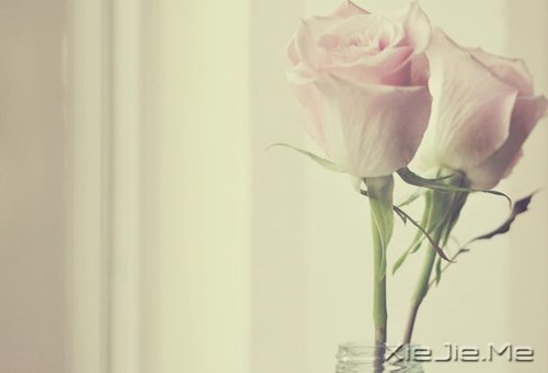 ��������ҵ�������· (8)