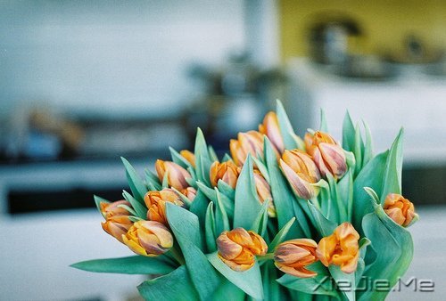 �簲�����Ϊ����Ϊ���ˣ����˲����˵��� (11)