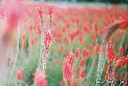 �簲�������ǰ�ߣ��㽫��Զͣ�� (5)