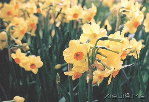 �簲�������ǰ�ߣ��㽫��Զͣ�� (10)