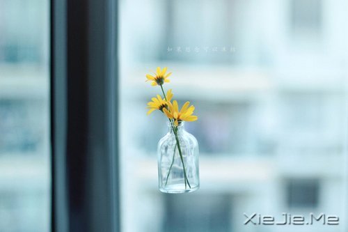 ���������������ڰ�����������ƻ� (9)