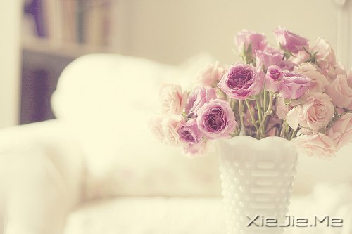 �簲������������ڱ��˵Ĺ���������Լ������� (8)