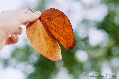 �簲��������������Ҹ��Ǽ������˰������� (5)