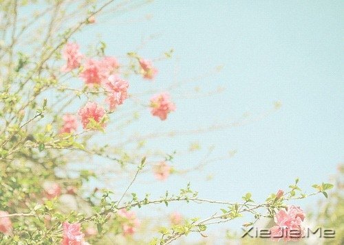 �簲�������ʱҪ������ʧ��ʱҪ���� (5)