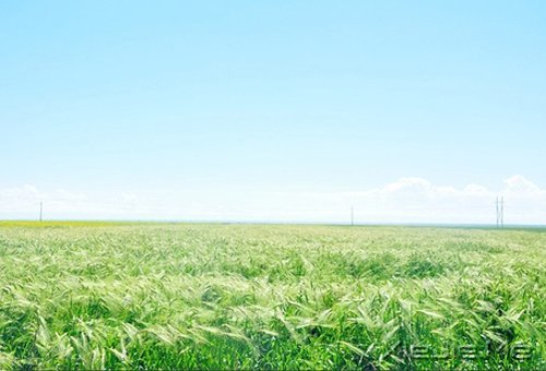 �Ҹ����Լ��ģ���Զ��Ҫ�ñ����������� (4)