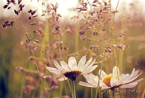 �簲���ʱ���ҧ�ˣ��㲻�߾ͻ������˺� (5)