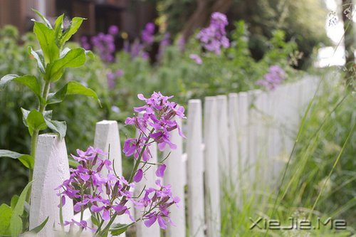 �簲�������Ҫ�ģ����¶������ (3)