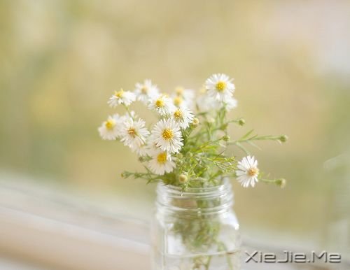 �簲���������������һ���˵����� (2)