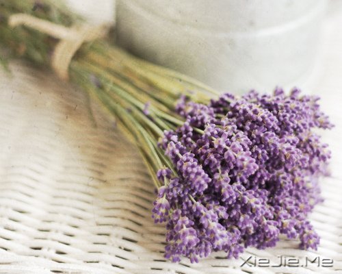 ����������������У����������� (3)