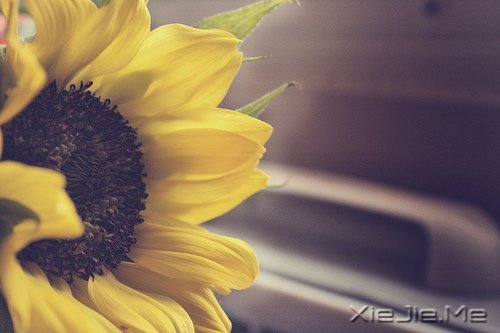 �簲�����Ҫ���������õĳ��� (9)