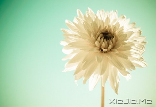 �簲�������������ߣ�Ҳ����һ�����������ͽ (1)