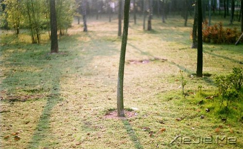 �簲�����Ϊ�Լ����Ϊ���ˣ���������� (3)