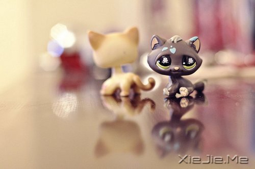 ��������Ҹ��������ߣ�֪��������� (3)