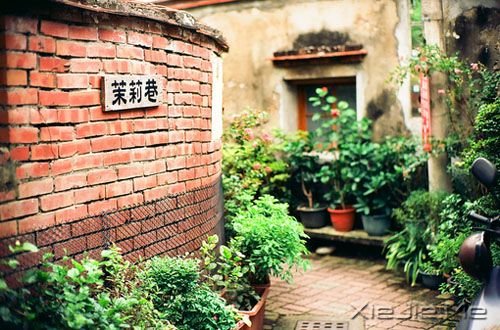 ���������ʲôҲ������������ (7)