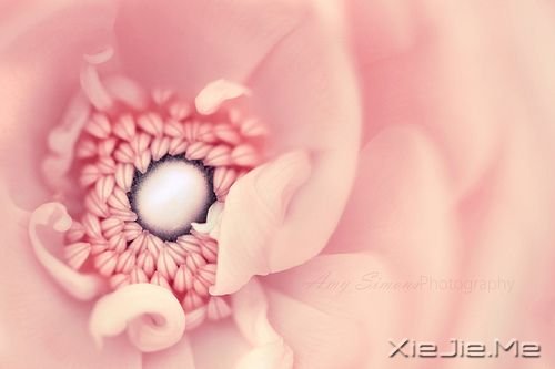 �������������������Լ� (9)