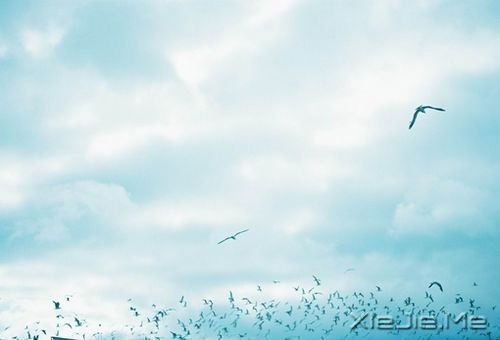 �簲����:�Լ���Ц�ݲ��������ķ羰 (2)