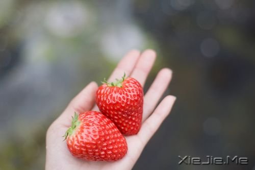 �������ǣ������ȥ��ֱ��������� (6)