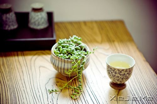 �簲�������û����Ϣ�ĵط��������ﶼ�������� (8)