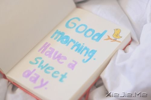 �����������һ����Ϊ����� (5)