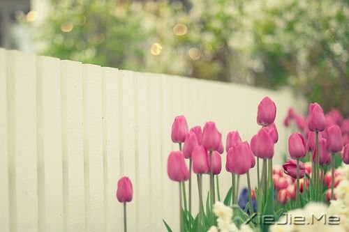 ���������ҪΪ�ɵı��ˣ��˷��µ����� (5)