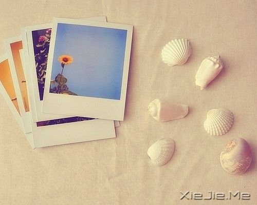 ������������δ������ף�ֻ���������Ǳ�ø��Ӽ�ǿ (6)