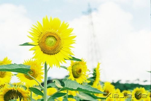 С����ͼƬ (2)