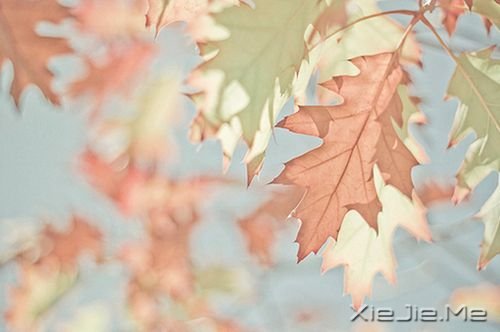 �簲�����ҪΪ���κ����κ�����ĥ�Լ� (3)