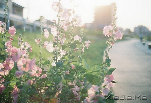 ������¼��һ���˵���ĵ��� (11)